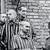 В Германии судят бывшего санитара Освенцима