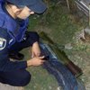 Опасные игры: в Мариуполе дети нашли гранатомет 