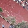 Улицы Бангладеш залиты реками "крови" (видео)