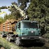 На Житомирщині упіймали вантажівку із цінною деревиною без документів