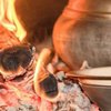 В оккупированном Крыму массово сжигают украинскую колбасу и сыр