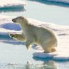 Исследователи предупредили о климатической катастрофе в Арктике