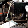 Авария поезда в Нью-Джерси: вагоны вылетали с путей
