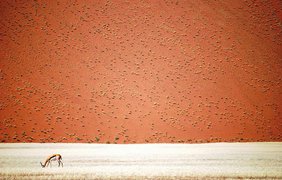 Пустыня Намиб