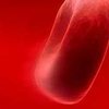 Ученые обнаружили в крови человека смертельно опасные бактерии