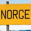 Власти Норвегии начали строительство стены на границе с Россией