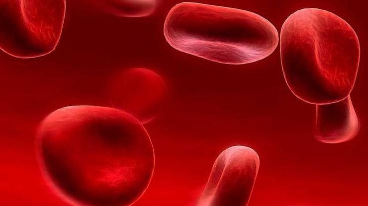 Ученые обнаружили в крови человека смертельно опасные бактерии
