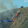 Європа потерпає від масових лісових пожеж (відео)
