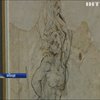 У Франції оприлюднили рідкісний малюнок Леонардо да Вінчі