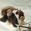 Фотограф отснял коров для оригинальной рекламы (фото) 