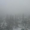 Смог в Киеве: эколог рассказал, когда рассеется туман 