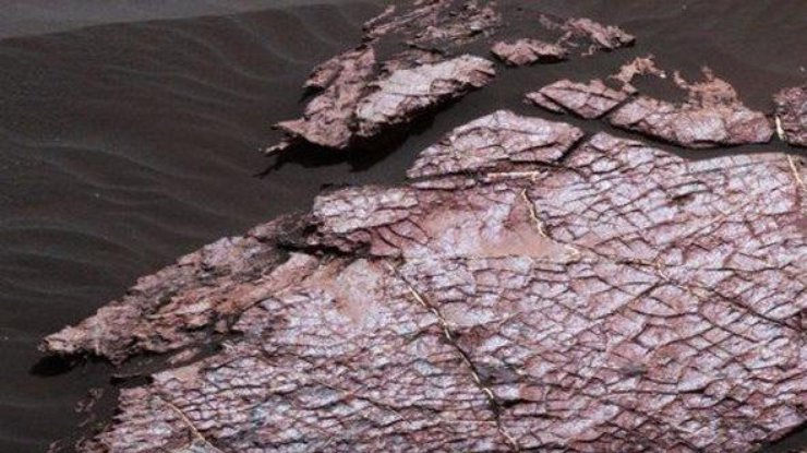 На Марсе нашли потрескавшуюся от воды глину / Фото: nasa.gov.ua