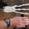 В Перу найдена кисть с тремя пальцами странного существа (фото) 