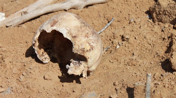 В центре Одессы нашли человеческие останки 