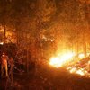 В Чили бушуют сильнейшие пожары в истории страны (фото) 