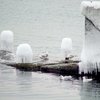Впечатляющие кадры: в Одессе набережная покрылась льдом