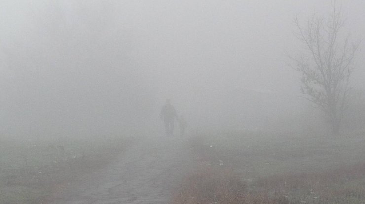Синоптики обещают сильный и густой туман 