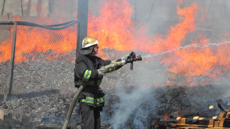 В Одесской области при пожаре погиб охранник базы отдыха 