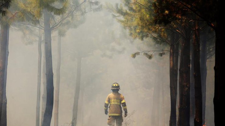 Лесные пожары в Чили: по подозрению в поджогах арестованы 30 человек