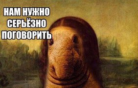 "Ждуна" с глазами, похожего на морского котика можно встретить в Украине. Фото: соцсети