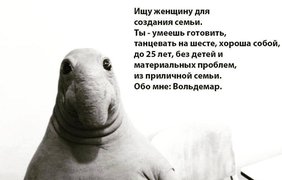 "Ждуна" с глазами, похожими на морского котика можно встретить в Украине. Фото: соцсети