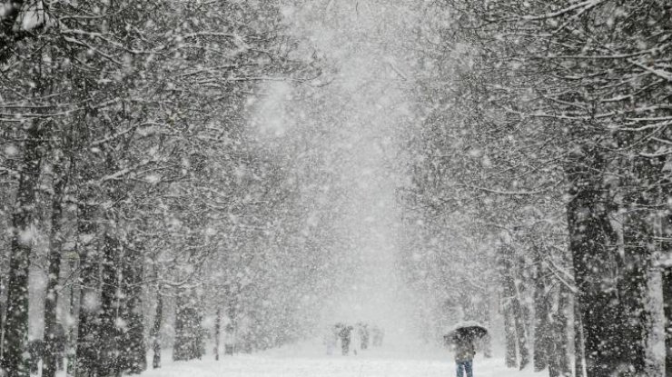 Погода на завтра: в Украине выпадет 30 см снега