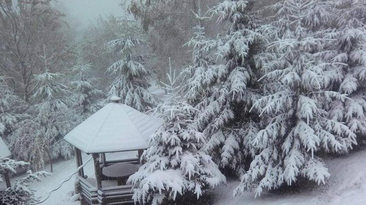 В Карпатах и Хмельницкой области ожидается сильный снег 