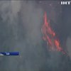 В Каліфорнії зросла кількість жертв лісових пожеж