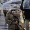 Прогноз погоды на 15 октября: синоптики предупреждают о порывах ветра и дождях 