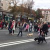 В Киеве около тысячи человек вышли на марш за права животных (фото)