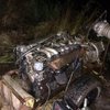 СБУ задержала группу копателей янтаря в Житомирской области