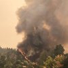 Пожары в Калифорнии: пламя стремительно распространяется по штату 