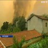 В Португалии из-за лесных пожаров погибли 27 человек