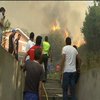 В Іспанії через лісові пожежі загинули двоє людей (відео)