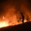 Лесные пожары в Португалии и Испании: число погибших стремительно растет