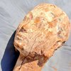 В Египте нашли деревянную статую возрастом в 4 тысячи лет (фото)