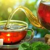 Осень-2017: как правильно заваривать полезный чай 