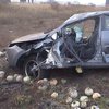 Смертельное ДТП в Запорожье: авто "улетело" в кювет и перевернулось