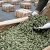 Amazon доставил покупателю в контейнерах 30 кг марихуаны (фото)