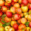 Сезон яблок: как правильно мыть фрукты