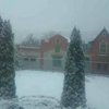 В Харькове выпал первый снег (фото, видео)