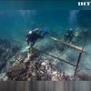 На затонулому кораблі знайшли найдавніший навігатор