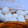 Киевлянин украл яиц почти на миллион гривен 