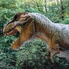 Тираннозавр "рубил" жертв передними лапками - ученые