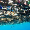В Карибском море обнаружили плавучий остров из мусора (фото, видео) 