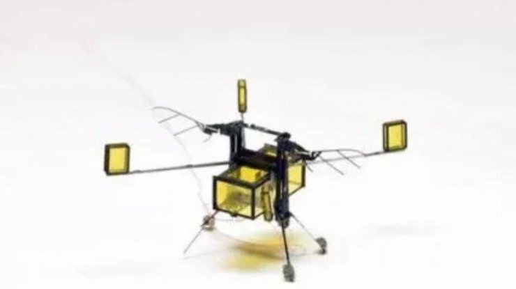 Первый робот, способный перемещаться между средами. Фото Harvard University