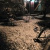 Осень-2017: в Краматорске выпал первый снег (фото)