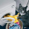 Топ-5 секретов по уходу за стиральной машиной