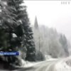 На Закарпатті через негоду та сніг знеструмлено десяток сіл