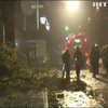 Ураган "Герварт": у Німеччині оприлюднили кількість жертв